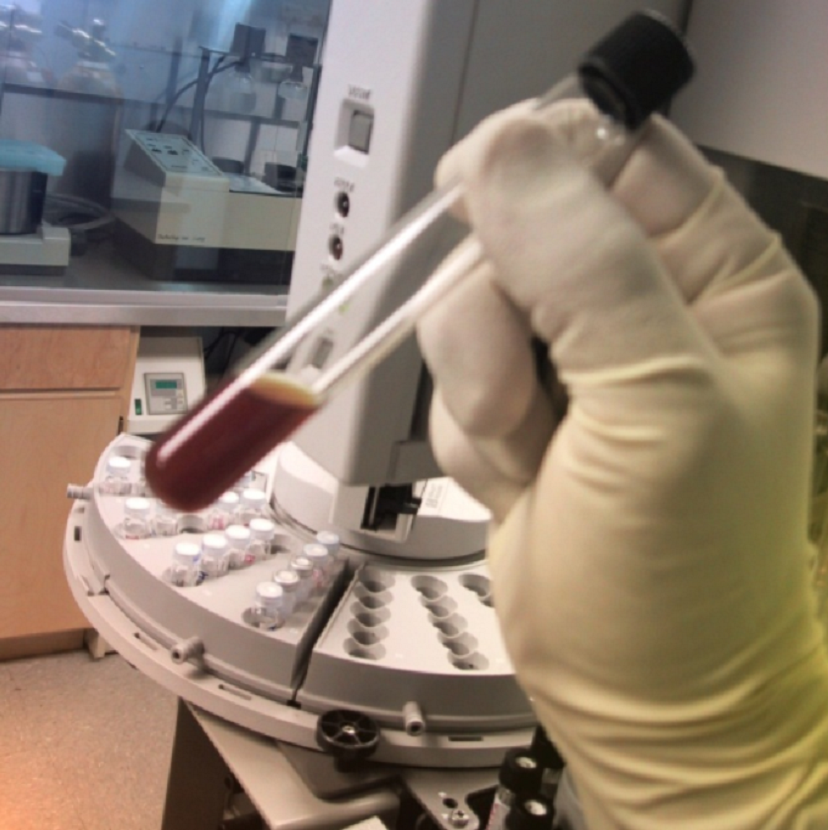 Pesticide Residue Testing
