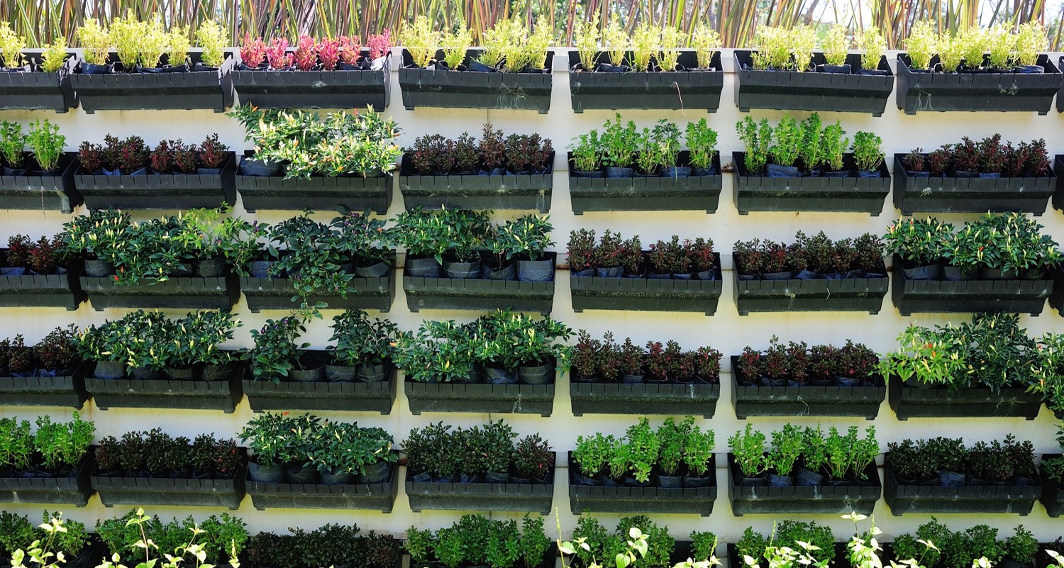 Vertical farming market