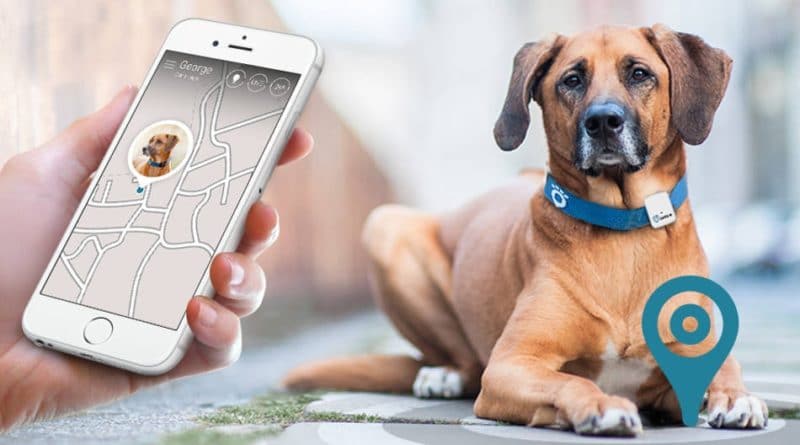Smart Pet Wearable Devices