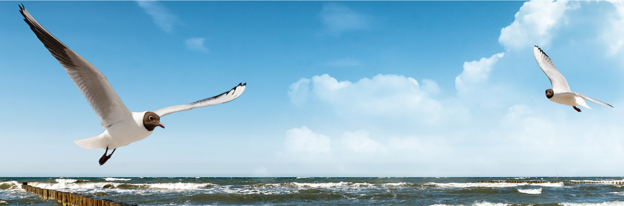 Sommerferien 2018 auf Sylt