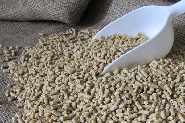 Swine (Pig) Feed Industry