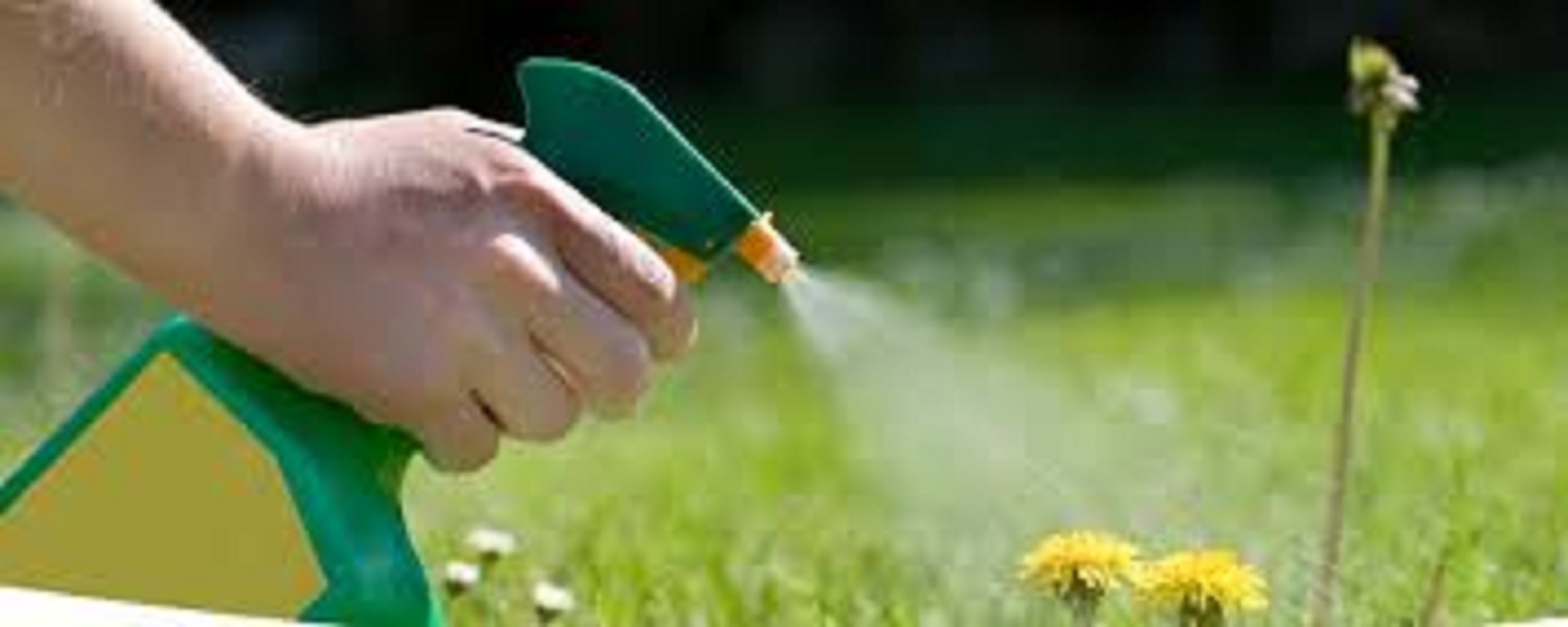 Agricultural Disinfectants