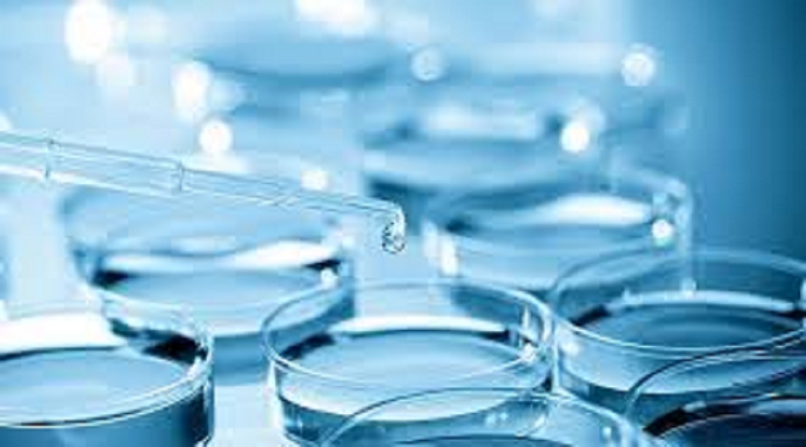 Betulinic Acid