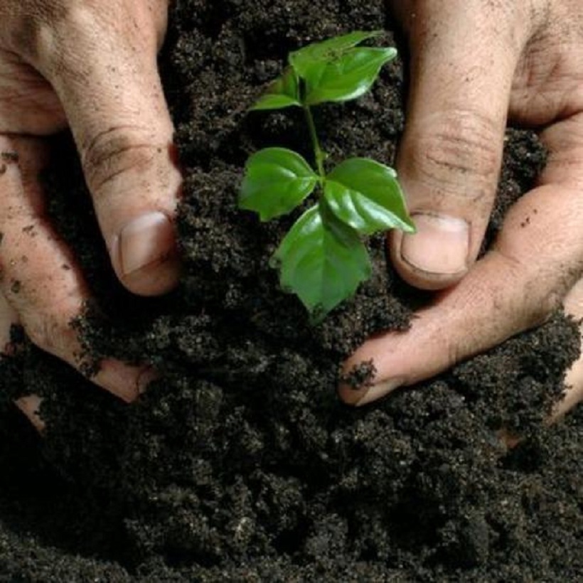 Bio Fertilizer