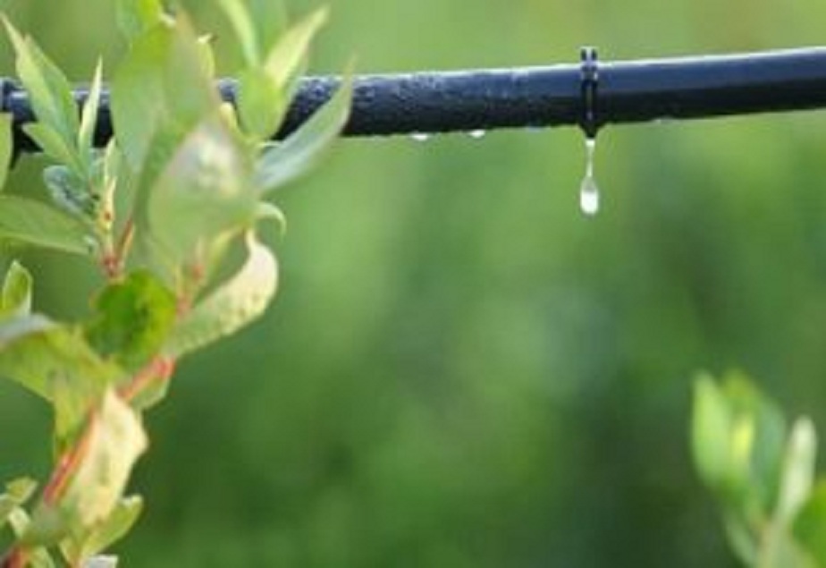 Drip Irrigation Tubes