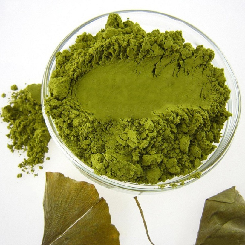 Ginkgo Biloba Extract