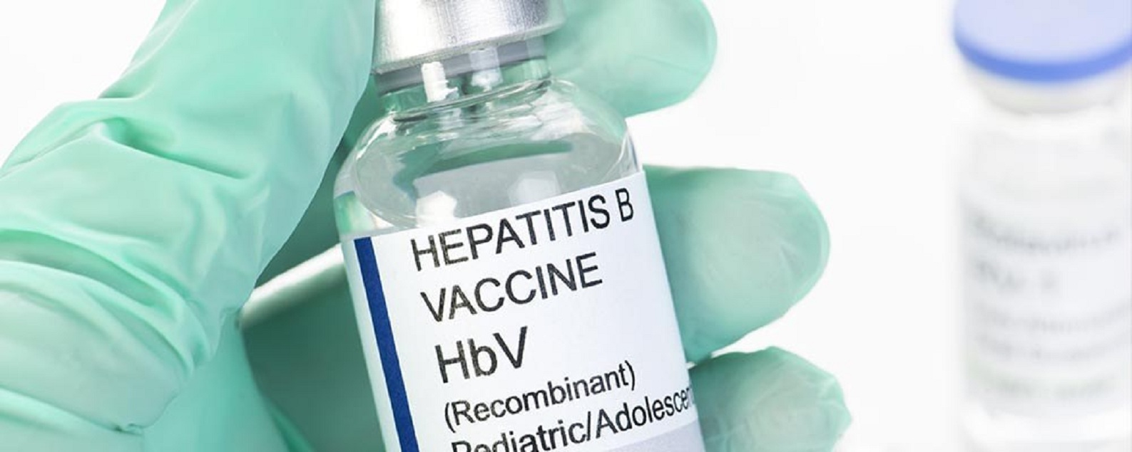 Hepatitis B Vaccines