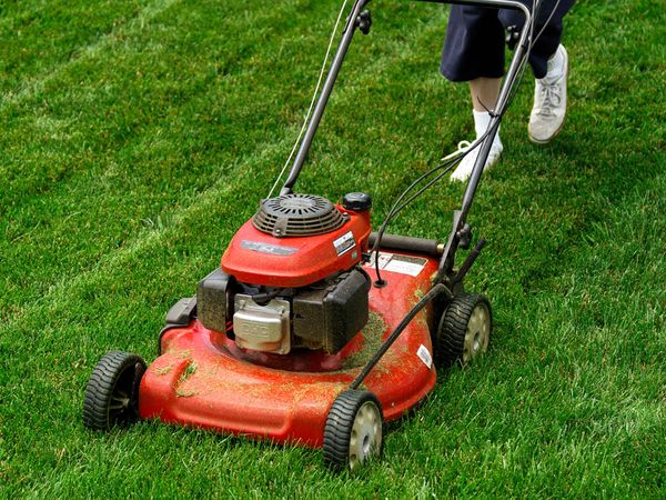 lawn mower