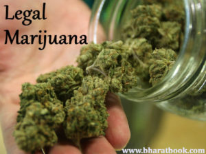 Legal-Marijuana-300x224 Global Legal Marijuana Market Set for a Positive Growth Forecast at CAGR of 28.0% till 2023