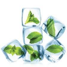 Mint & Menthol Market