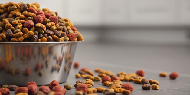 Pet Food market