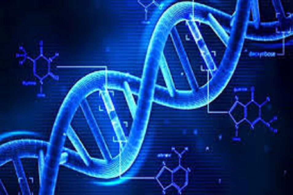 Recombinant DNA Technology