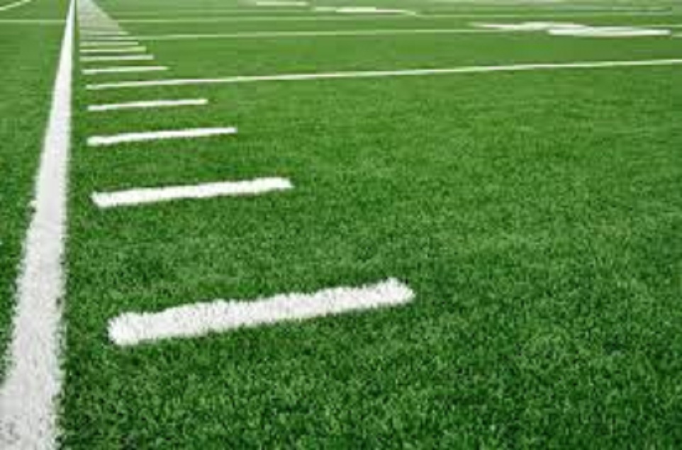 Sports Turf