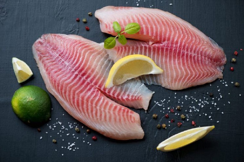 Tilapia