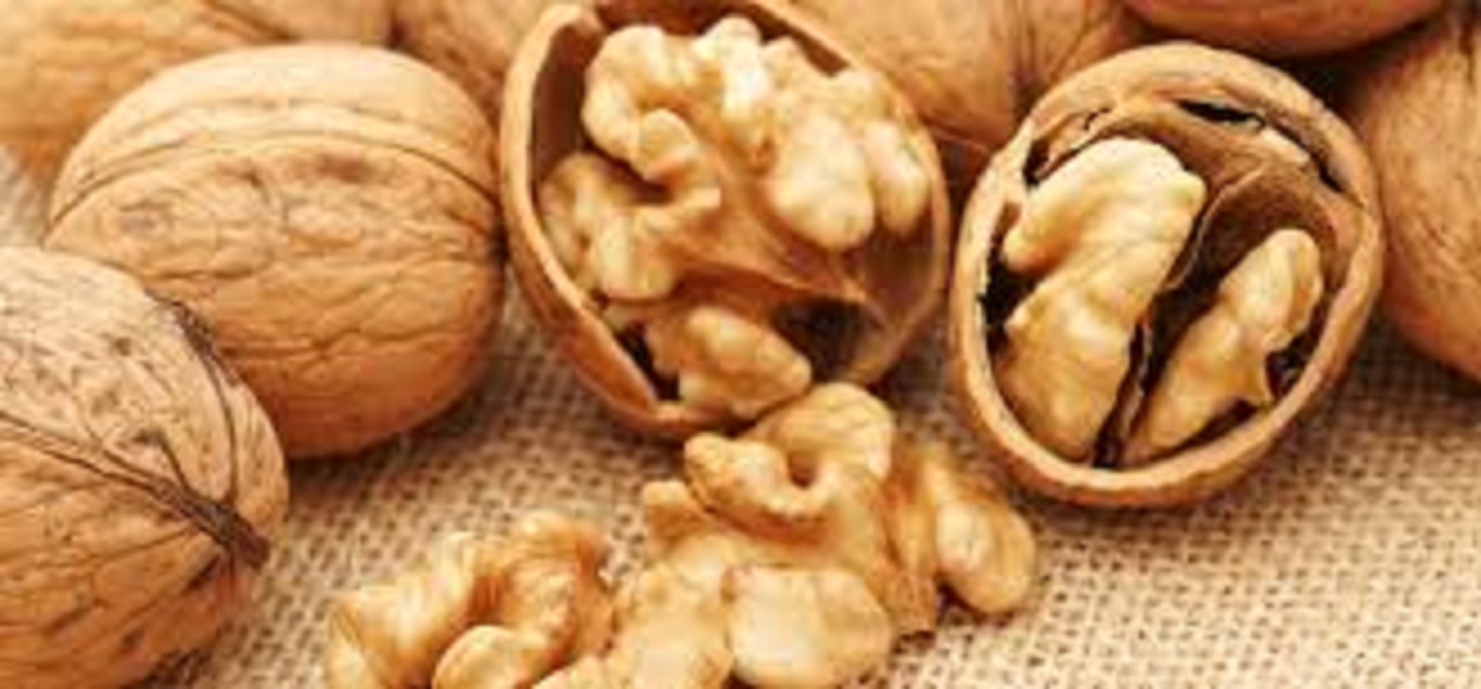 Walnuts Ingredient Sales