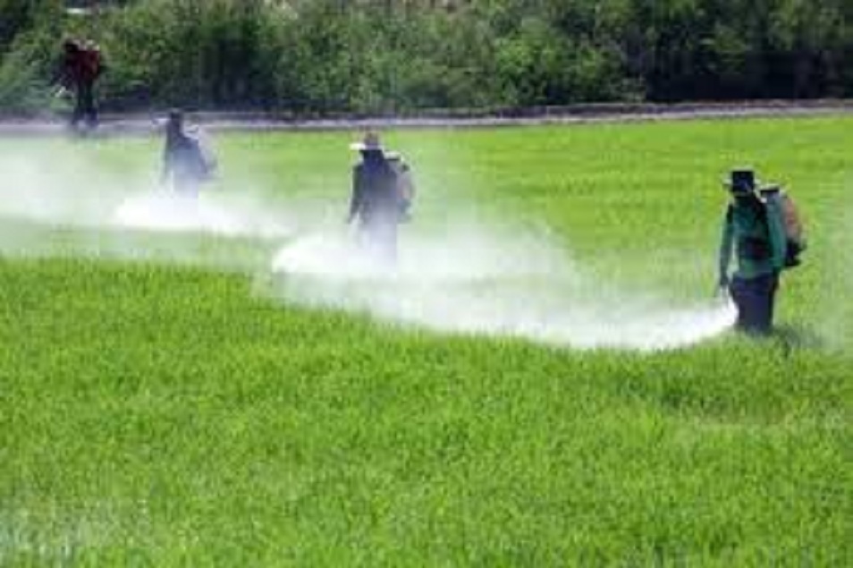 Agricultural Surface Disinfectant