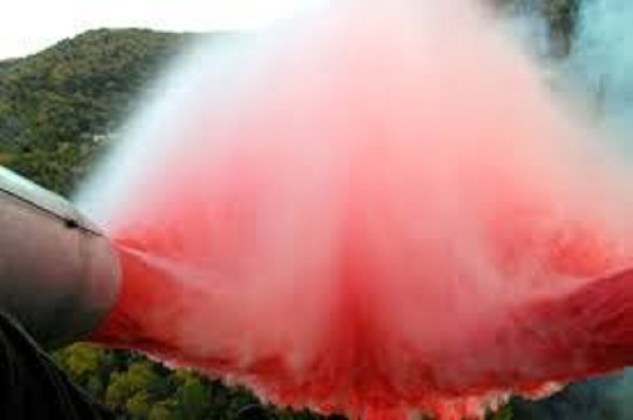 Ammonium Sulfate Fertilizer market