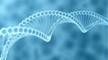 Bacterial Nanocellulose Market