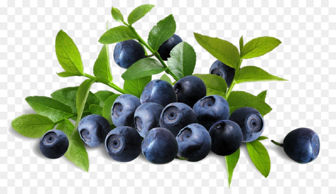 Bilberry Extract