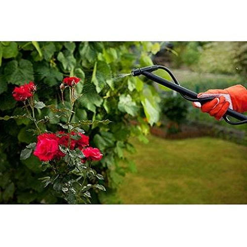 Botanical Pesticides Market