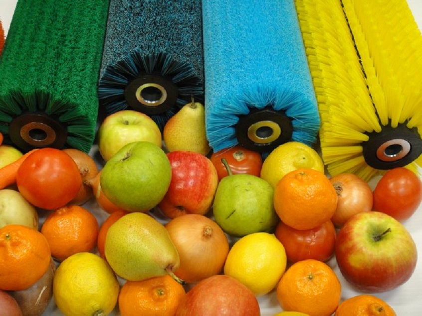 Brush Fruit Washing Machine Sales
