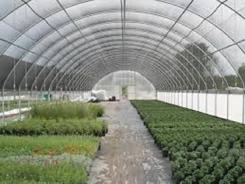 Commercial Greenhouse Equipments