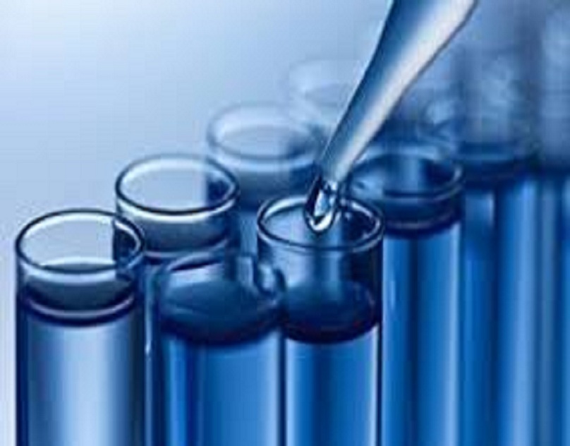 Custom Antibody Services Detailed