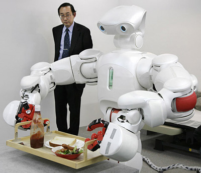 Domestic Robots