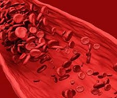 Human Coagulation Factor VIII Market