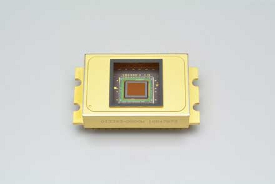InGaAs Image Sensors