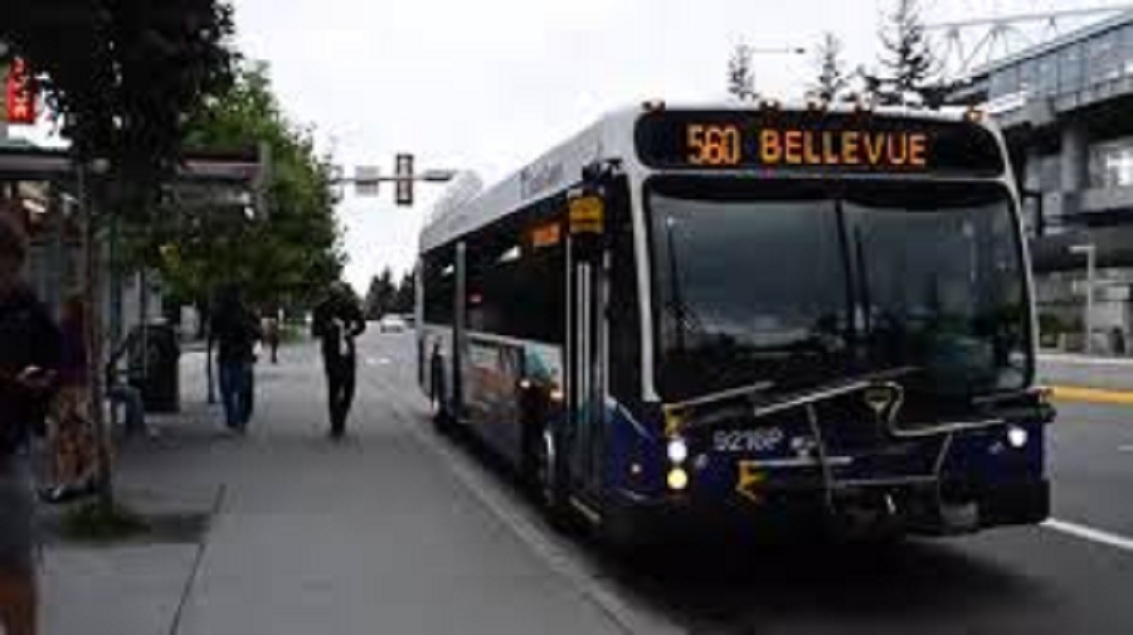 Low-floor Hybrid Bus Sales