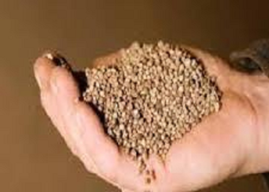 Phosphorus & Derivatives