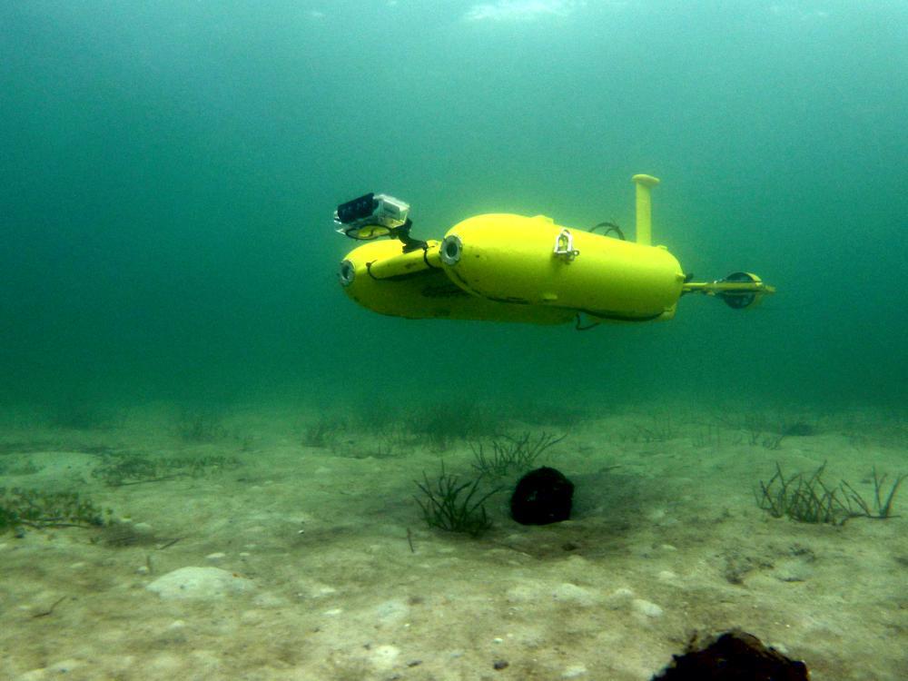 Unmanned Underwater Vehicles Market