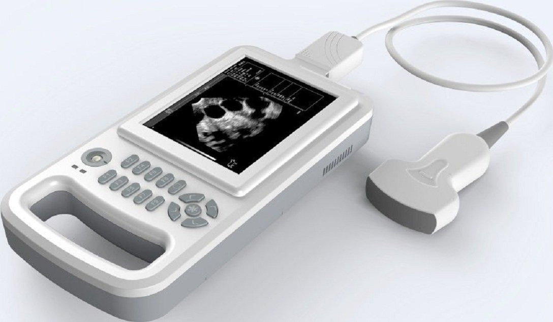 Veterinary Ultrasound Scanners