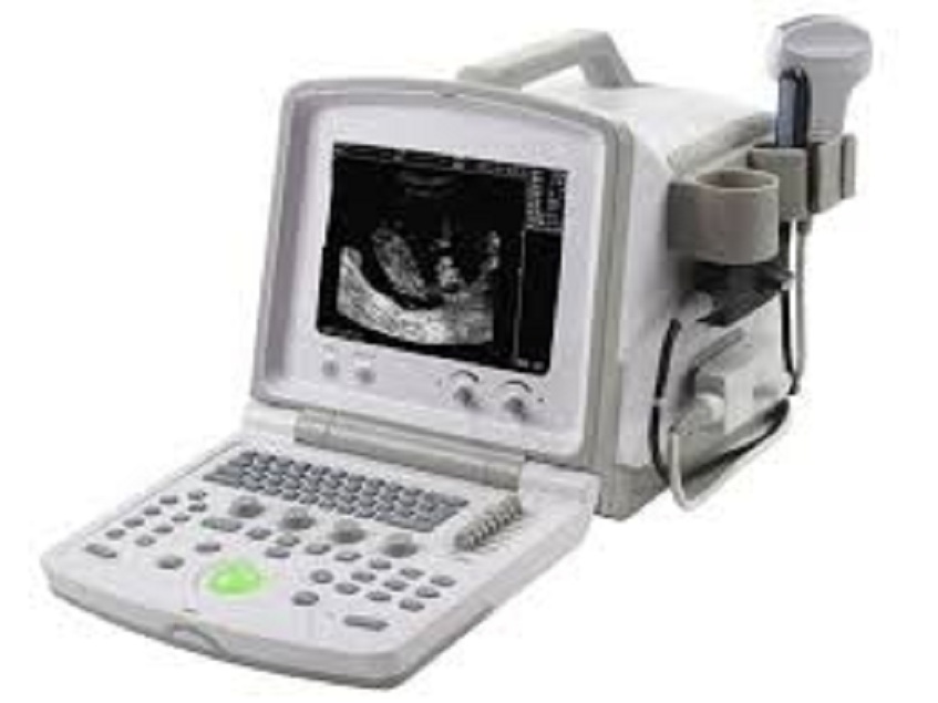 Veterinary Ultrasound Scanners