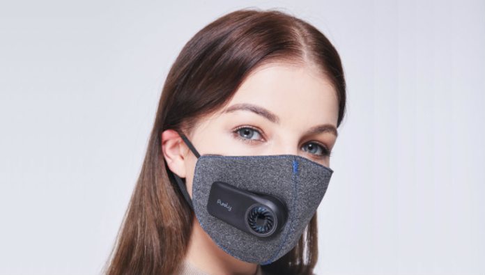 Replaceable Pollution Masks market