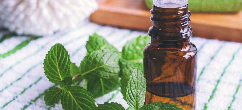 Peppermint Oil market