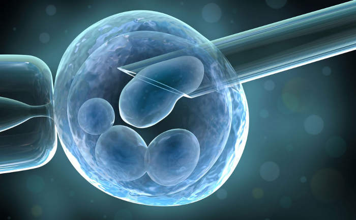 Preimplantation Genetics Diagnosis (PGD)