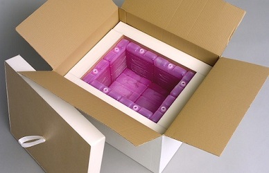 Temperature Controlled Packaging Sales