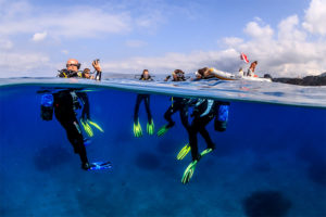 Ausbildung_Tauchlehrer_©Tobias_Friedrich-300x200 Exklusive Tauchlehrerausbildung auf Elba und in Dahab