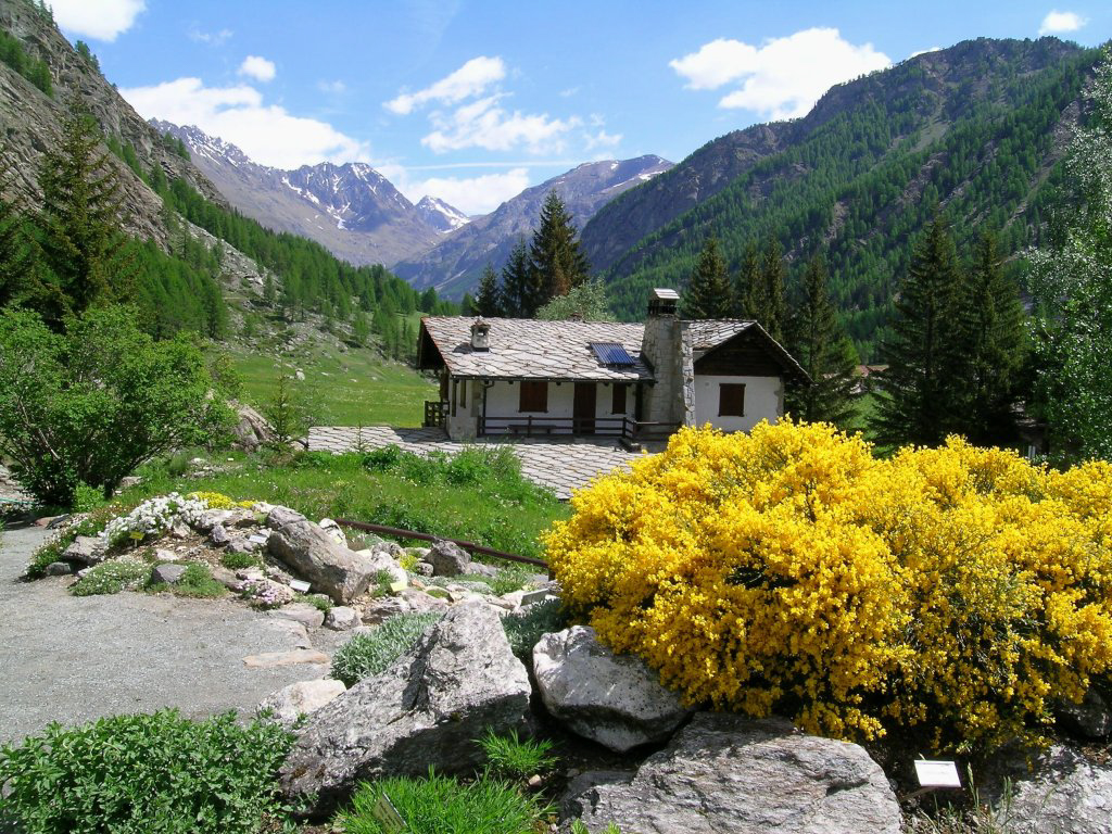 VALLE-DAOSTA-Giardino-botanico-Paradisia-Cogne__Archives-Tourisme-Vallée-dAoste_1 Heilsame Schönheiten - das Aostatal in voller Blütenpracht