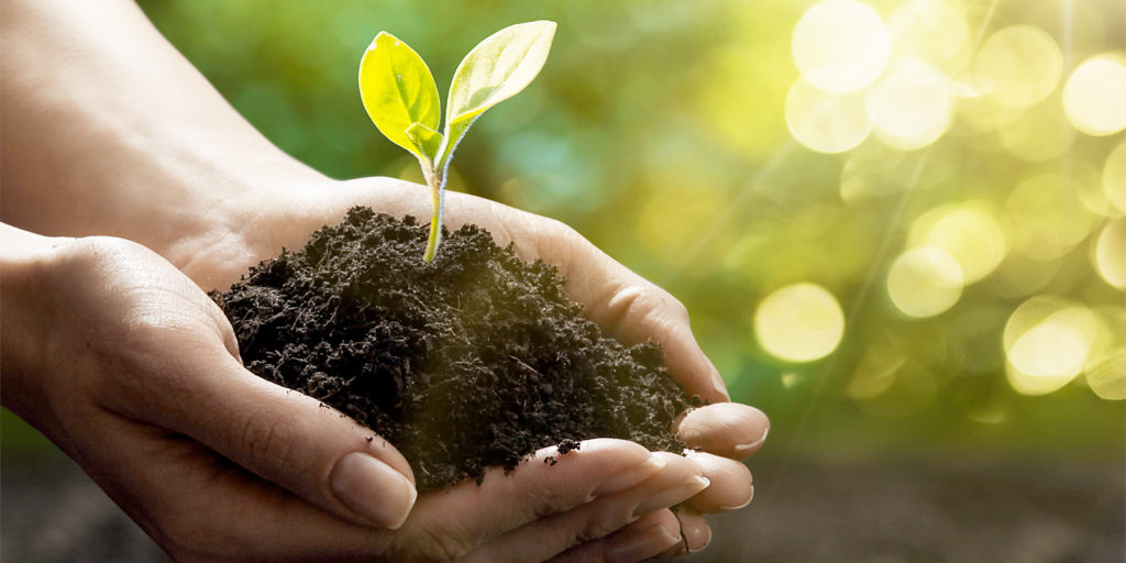 Rosenberger_OSI_sustainability_Adobestock@Pasko_Maksim-1024x512 Rosenberger OSI stellt auf eine biobasierte und biologisch abbaubare Verpackung um