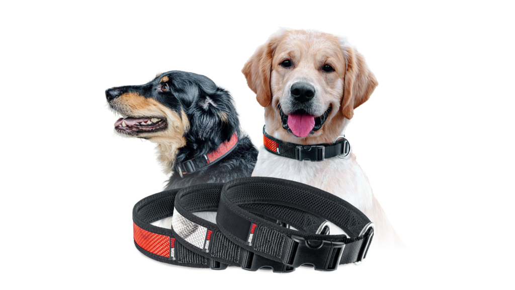Feuerwear_Hunde-Halsband-Timmy_Produkt_-1-1024x576 <strong>Nachhaltiges Accessoire aus Feuerwehrschlauch für den Hund: Halsband Timmy von Feuerwear</strong>
